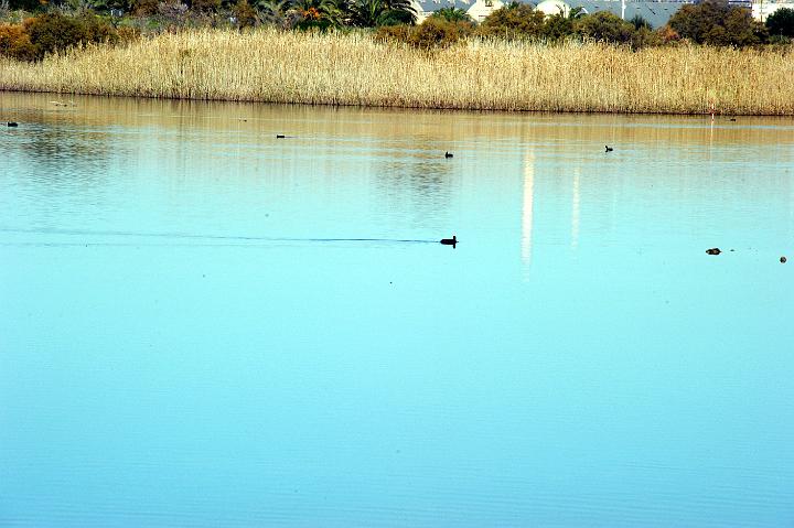 1Saline di Priolo 16.1.2011 (9).jpg